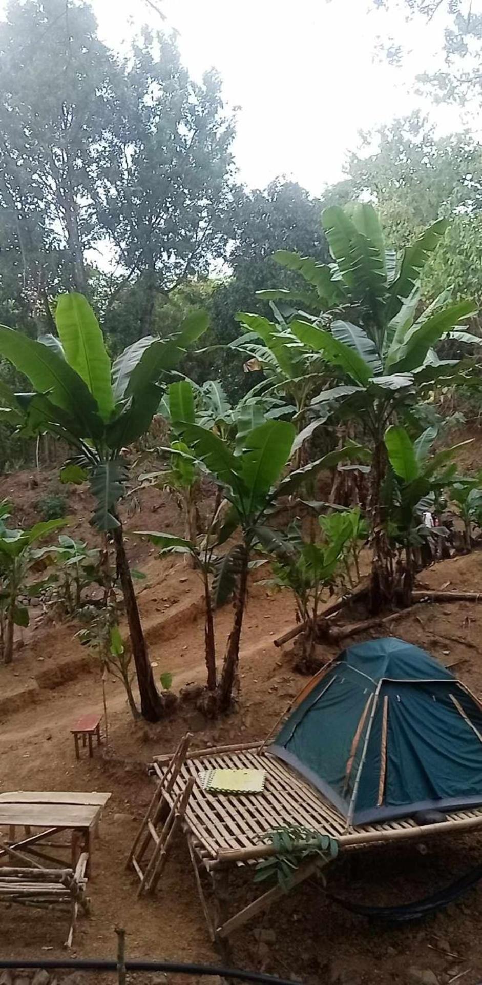 Camping Ground @ Eastdee Lidlidda מראה חיצוני תמונה