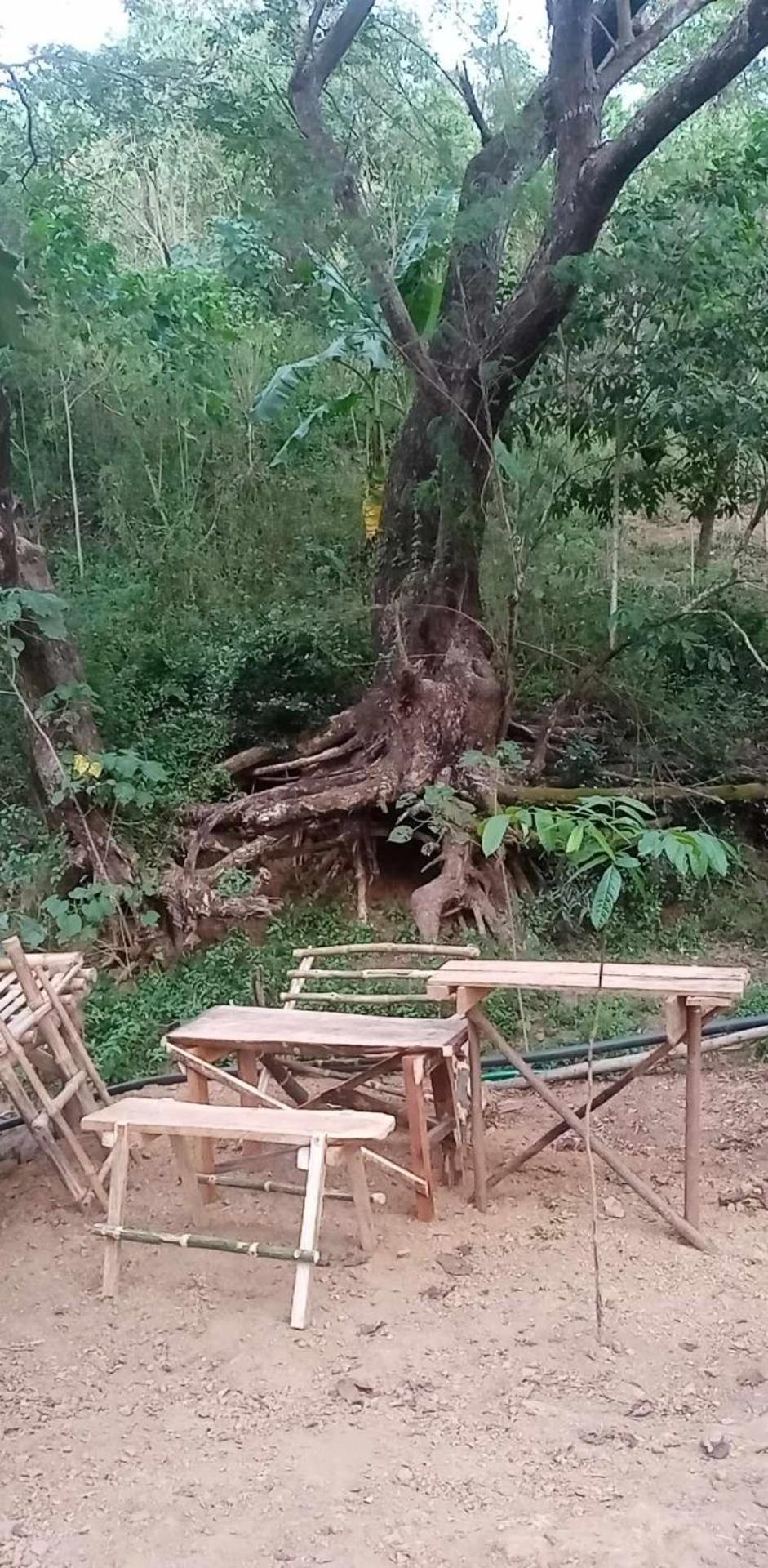 Camping Ground @ Eastdee Lidlidda מראה חיצוני תמונה